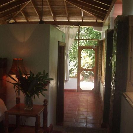 Ian Andersons Caves Branch Jungle Lodge 贝尔莫潘 外观 照片