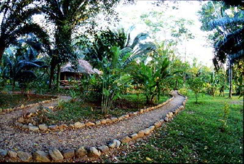 Ian Andersons Caves Branch Jungle Lodge 贝尔莫潘 外观 照片