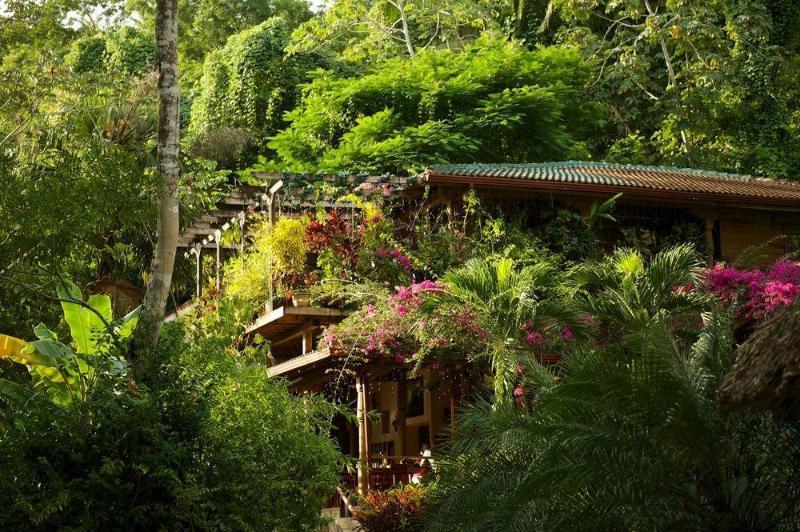Ian Andersons Caves Branch Jungle Lodge 贝尔莫潘 外观 照片