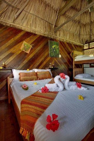 Ian Andersons Caves Branch Jungle Lodge 贝尔莫潘 外观 照片